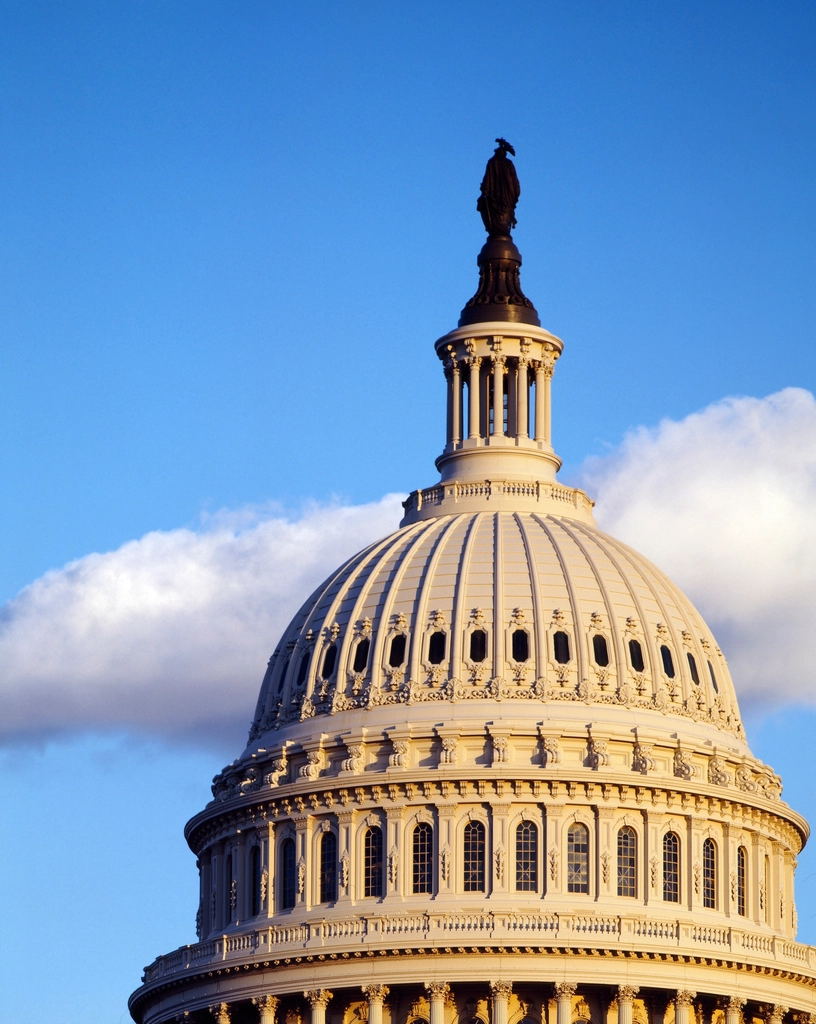 U.S. Capitol Dome. Original image